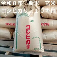 新米・数量限定】愛媛県産 無農薬 コシヒカリ 10kg 令和8年度 玄米