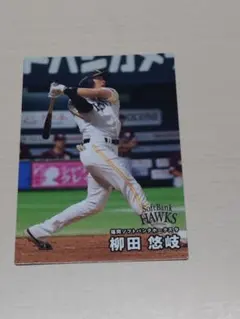 ふみにー様 リクエスト 3点 まとめ商品