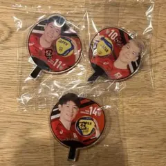 石川祐希 バレーボール