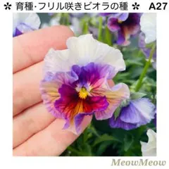 おもち　プロフご一読下さい(*^^*)様 リクエスト 3点 まとめ商品