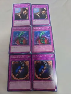 来世、虫であれ様 リクエスト 2点 まとめ商品