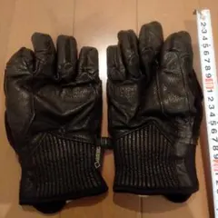 Supreme The North Face GORE-TEX 手袋 Lサイズ - メルカリ