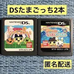DS たまごっちのプチプチおみせっち なりきりチャンネル ソフトのみ