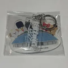 【あけボム様】東京ドーム　アプグレ　特典　アクリルキーホルダー