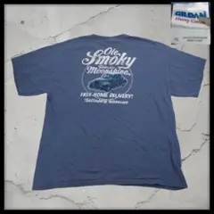 ギルダン Tシャツ XL ブルー ムーンシャイン バックプリント 古着 アメカジ