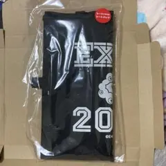 Item thumbnail for item 8abb5ec8-67c0-47cf-836f-540e6f7e2b5c