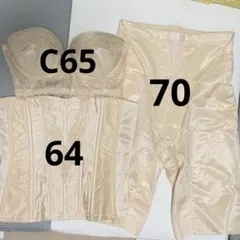 2026年最新】フォーシスアンドカンパニー インナー c65の人気アイテム