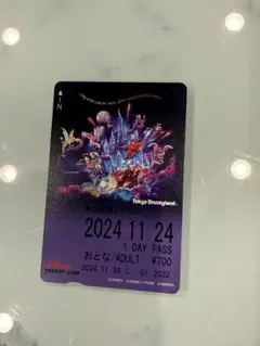 東京ディズニーランド　リーチフォーザスターズ　リゾートライン　切符