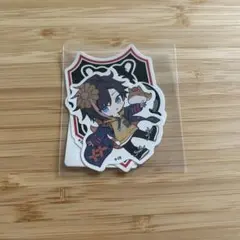 Crazy Raccoon CR  DMMスクラッチ ステッカー  kinako