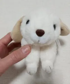 ロップイヤー うさぎ ぬいぐるみ 16cm テイクオフのサムネイル