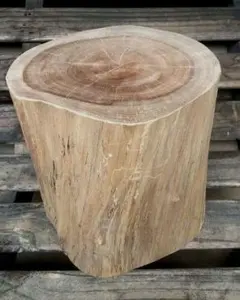 京都産　天然ミズキ（水木）　丸太　スポルティッド　Spalted　丸太椅子のサムネイル