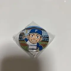日本ハムファイターズ　松本剛選手　缶バッジ