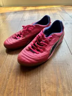 2026年最新】パラメヒコライトの人気アイテム - メルカリ