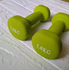 ダンベル 1.0kg 2個セット MOJEER グリーンのサムネイル