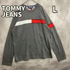 トミージーンズ メンズ 長袖 Tシャツ カットソー グレー L 秋【き977】のサムネイル