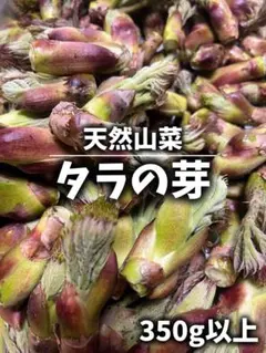 2026年最新】たらの芽の人気アイテム - メルカリ