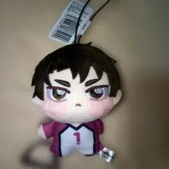 ハイキュー　ちょぴぬいぷち 牛島若利
