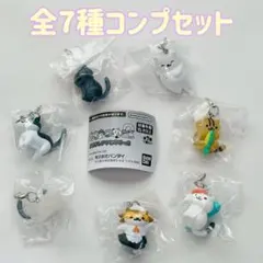 コンプ ねこあつめ2 めじるしアクセサリー2 全7種セット