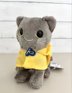 絵本なし】かえるのピクルス 虹をわたる 限定版 ビーンドール - メルカリ