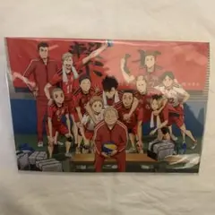 ハイキュー ゴミ捨て場の決戦 孤爪研磨 黒尾鉄朗 音駒高校 映画特典