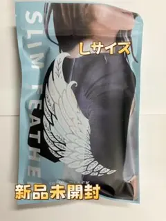 SLIM FEATHER スリムフェザー 二の腕着圧 Lサイズ/。