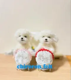 トイプードル ペットカート ベビーカー 羊毛フェルト ハンドメイド 右の子のサムネイル