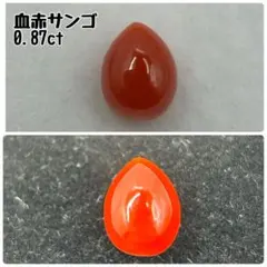 【新品】高知県　珊瑚　154g 新品】高知県珊瑚154g