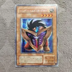 ビッグ・シールド・ガードナー G5-02 シク 2281