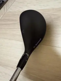 Item thumbnail for item e768b22a-3ccf-4279-b01e-76338886ca79