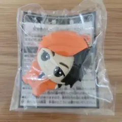 Item thumbnail for item ca28ba61-3b7b-4e73-9d1a-792fea43cf9b