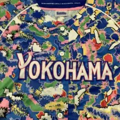 Item thumbnail for item e1029099-2eab-4413-8194-c227876c0798