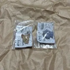 ポケピース めじるしアクセサリー ニャスパー ピチュー