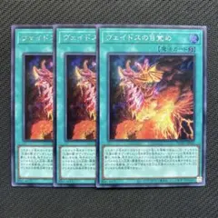 遊戯王 滅亡龍ヴェイドス シークレット シク - メルカリ