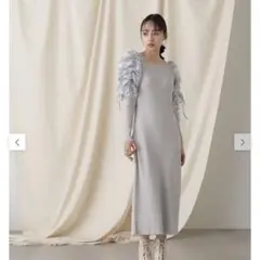 シアーギャザースリーブニットワンピース