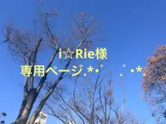 i☆Rie様 専用ページ