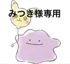 みつきさん様 リクエスト 2点 まとめ商品