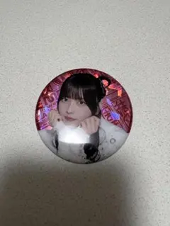 寿司の屋台様 リクエスト 2点 まとめ商品