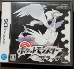 ポケットモンスター　ブラック