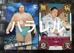 Item thumbnail for item d1eb62f3-e8f1-4649-a6f3-794dcf2052a6