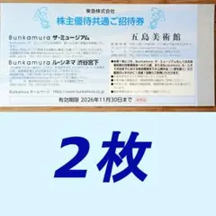 Bunkamura ザ・ミュージアム ル・シネマ 五島美術館 優待共通招待券2枚のサムネイル