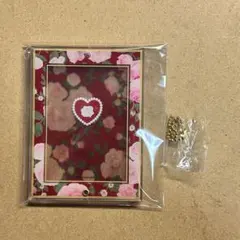 フクヤ　アクリルフレーム　赤