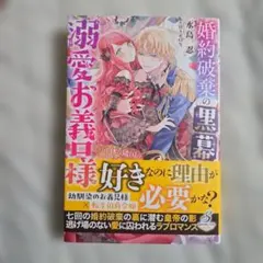 婚約破棄の黒幕は溺愛お義兄様 その正体は隣国の冷血皇帝でした