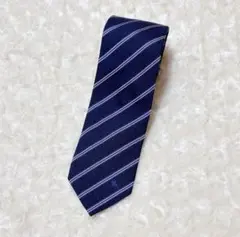 Item thumbnail for item 1cefc707-a590-4281-8b60-495e768ffbb8