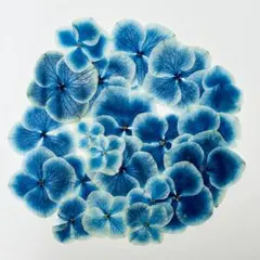 にゃこ様 リクエスト 2点 まとめ商品