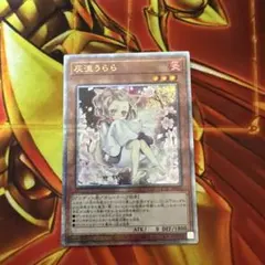 2026年最新】遊戯王 はるうらら 25の人気アイテム - メルカリ