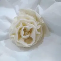 Item thumbnail for item 81bb6042-286b-4da9-9f93-80c7ad9a98e7