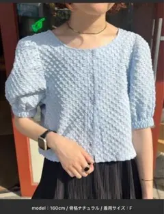 パフスリーブ 水色半袖トップス Fサイズのサムネイル