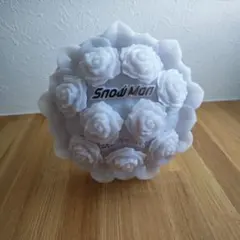 Snow Man ペンライト SnowWorld ペンライトスノーワールド