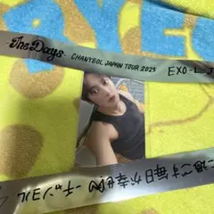 EXO チャニョル CHANYEOL フォトカード The Days 銀テープ