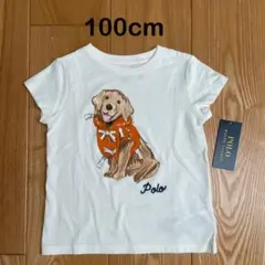 【新品】ポロラルフローレン　Tシャツ　犬